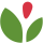 Biohotpeppers icono logo