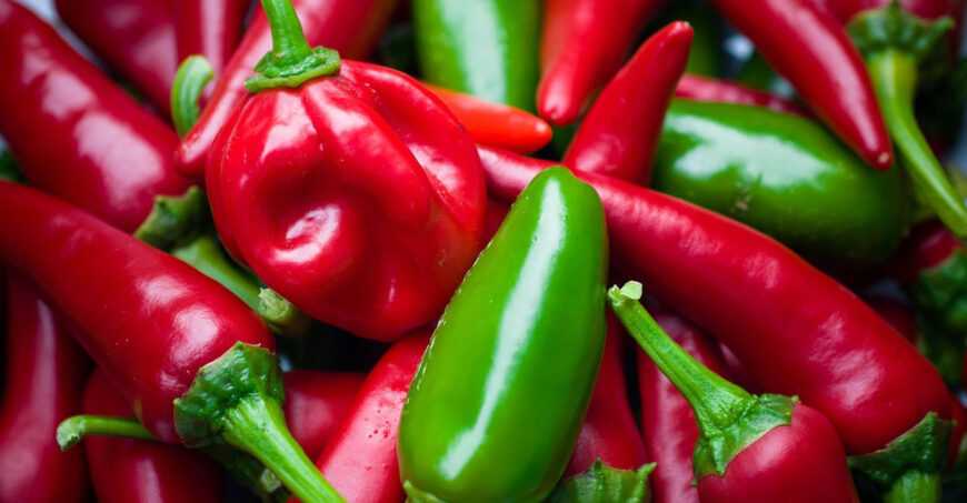 aji-chile-guindilla