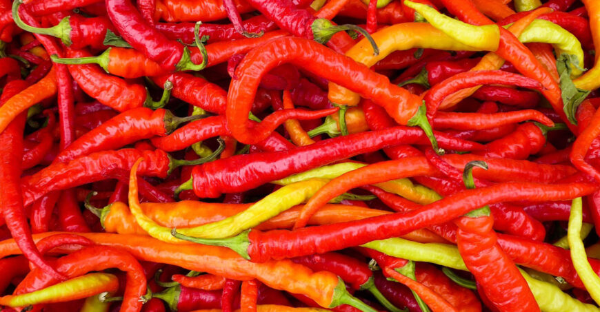 Chiles