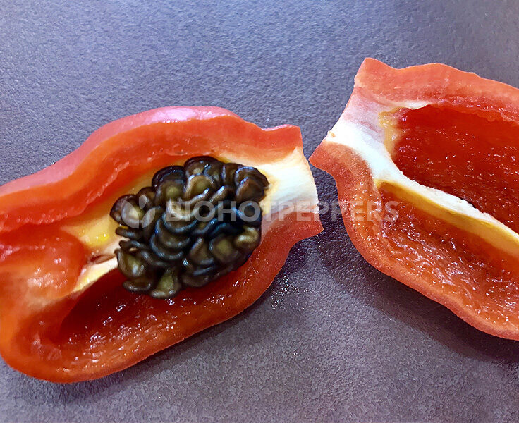 biohotpepper-rocoto-red-m