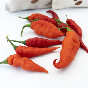 Chiles Bhut Reaper
