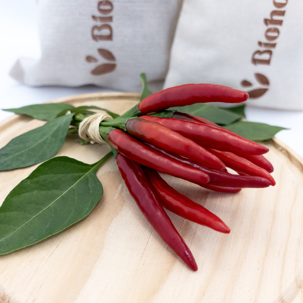 Chile de Arbol - Imagen 2