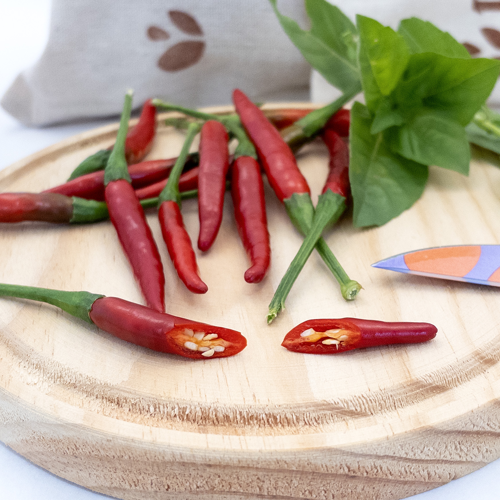 Chile de Arbol - Imagen 3