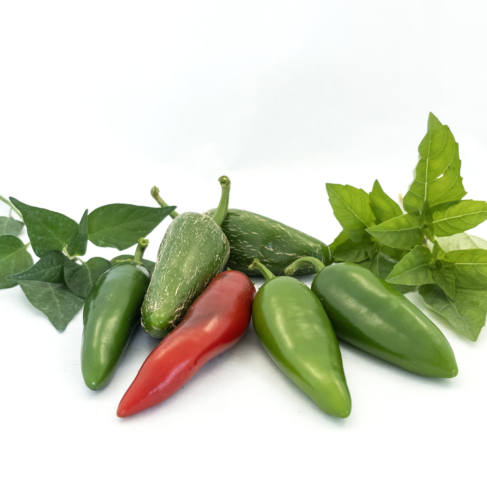 Jalapeño-00